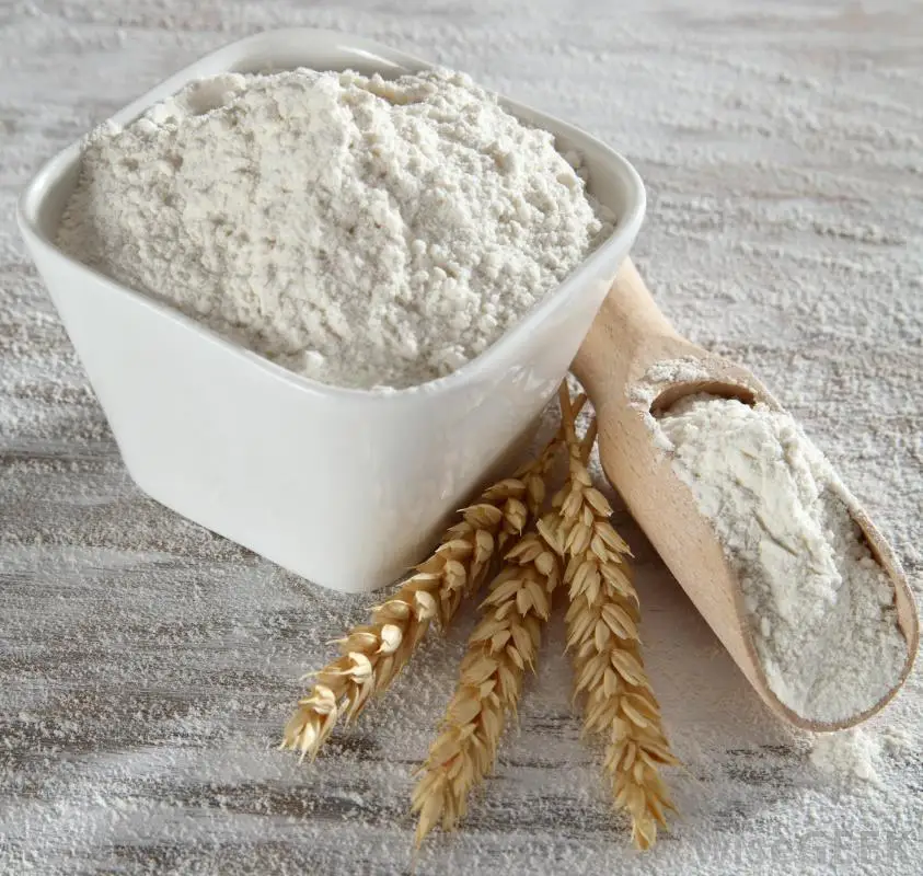 High Quality German Buckwheat Oatmeal Rye Wheat Flour/Wheat Flour for Bakery & Bread