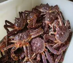 Norwegian King Crab by bruzzseafood As, Norwegian king crab