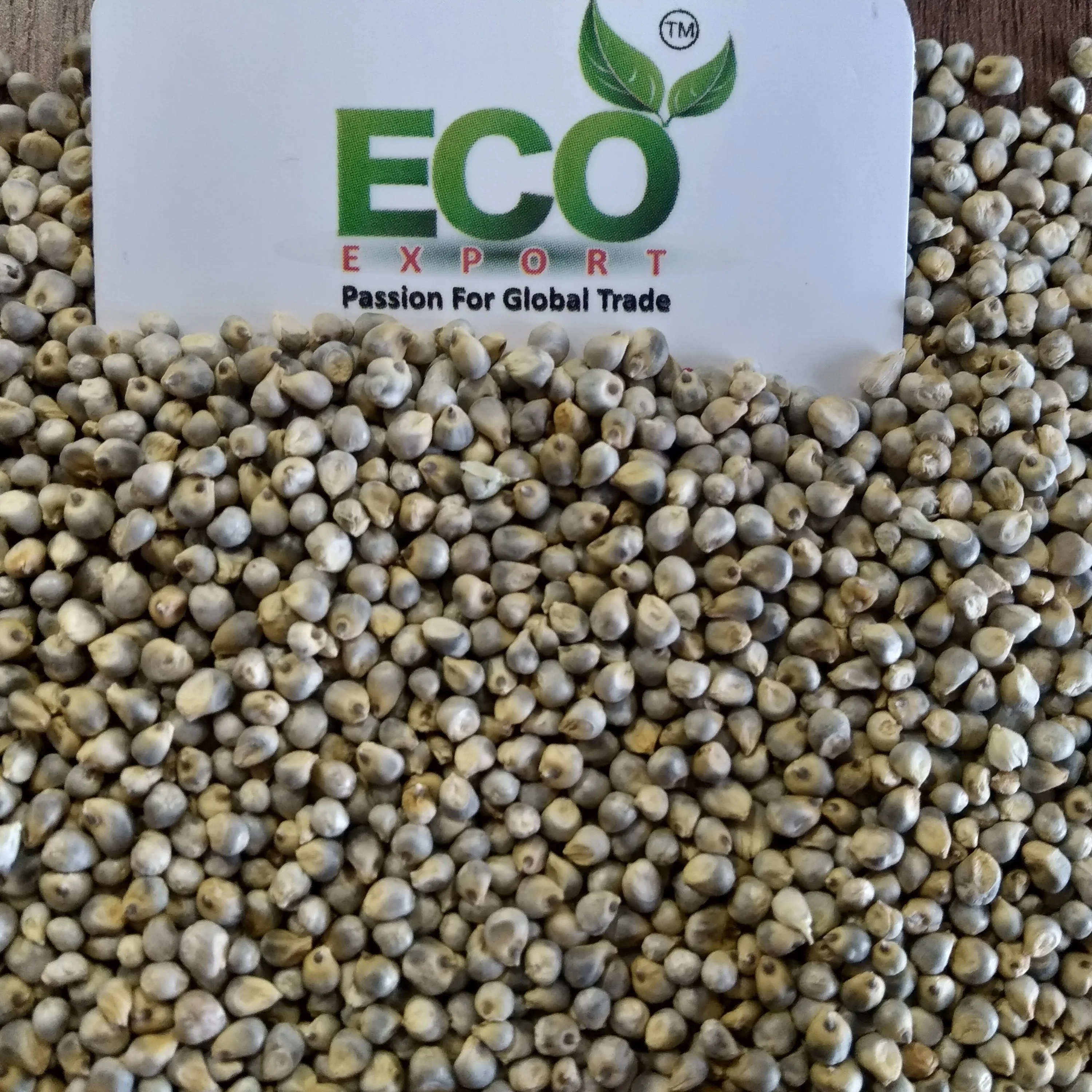 Manufacturer of Green Millet/Bajra/Millet Bajra Seeds For Export