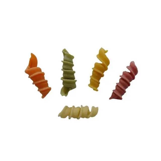 Premium Italian dried pasta noodles bronze dies Scipli Italian Organic Pasta for Cooking 500gr