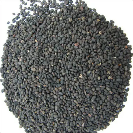 
Wholesale Best Quality Babchi Seeds 