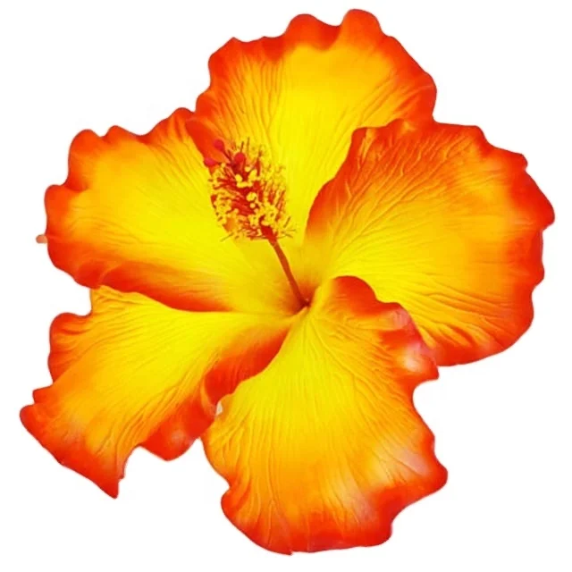 Best seller good quality Handcraft Handmade artificial hibiscus foam flower with special tattoo and color pattern