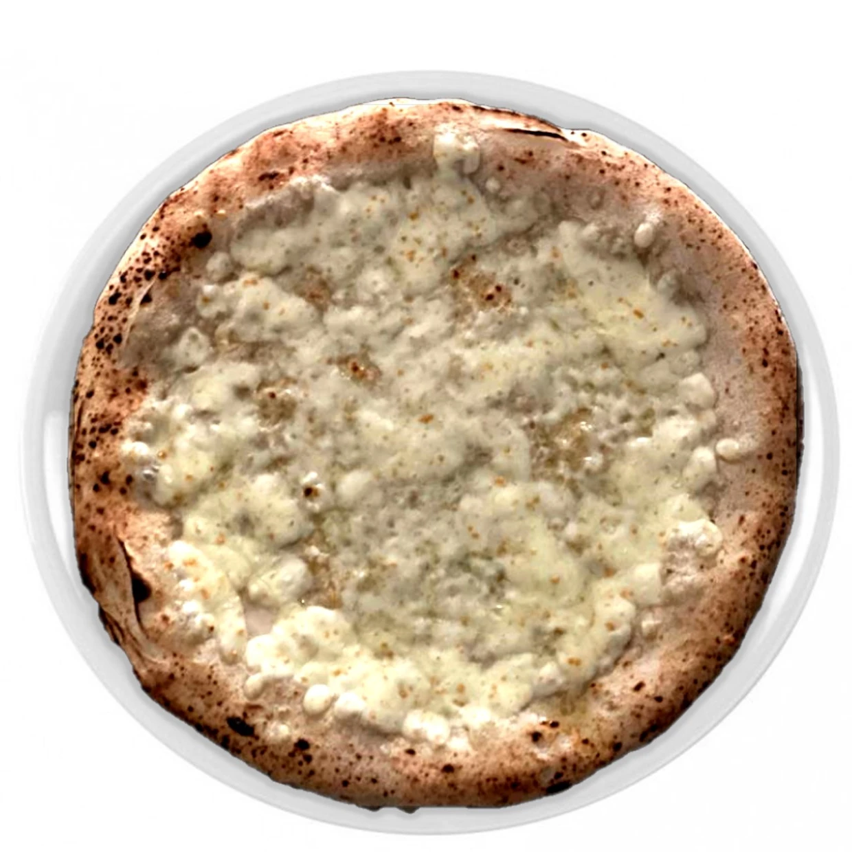 100% Made in Italy Naturally Leavened Pizza with Mozzarella Cheese 11,42 inch ideal for food service