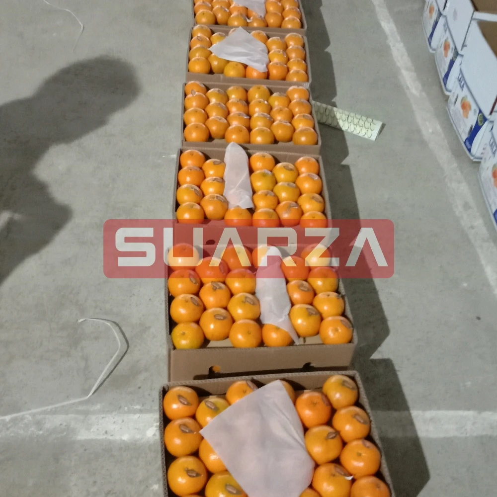Best Sale High Quality Competitive Price Orange