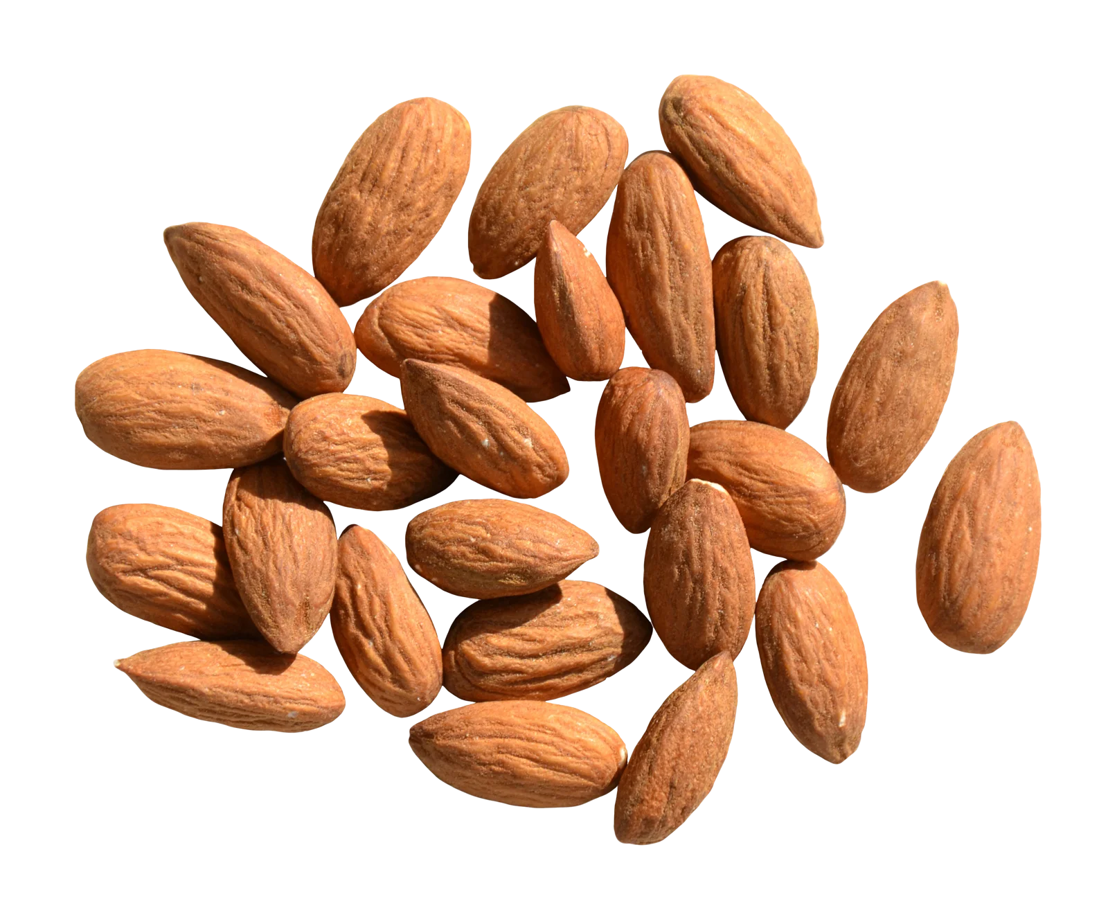 Оптовая продажа миндаля из Калифорнии. Размер