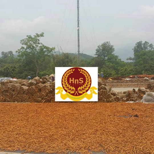 
Cassia Bark Rolls/ Cassia Root Bark/ Cassia Short Cut New Crop 2021 