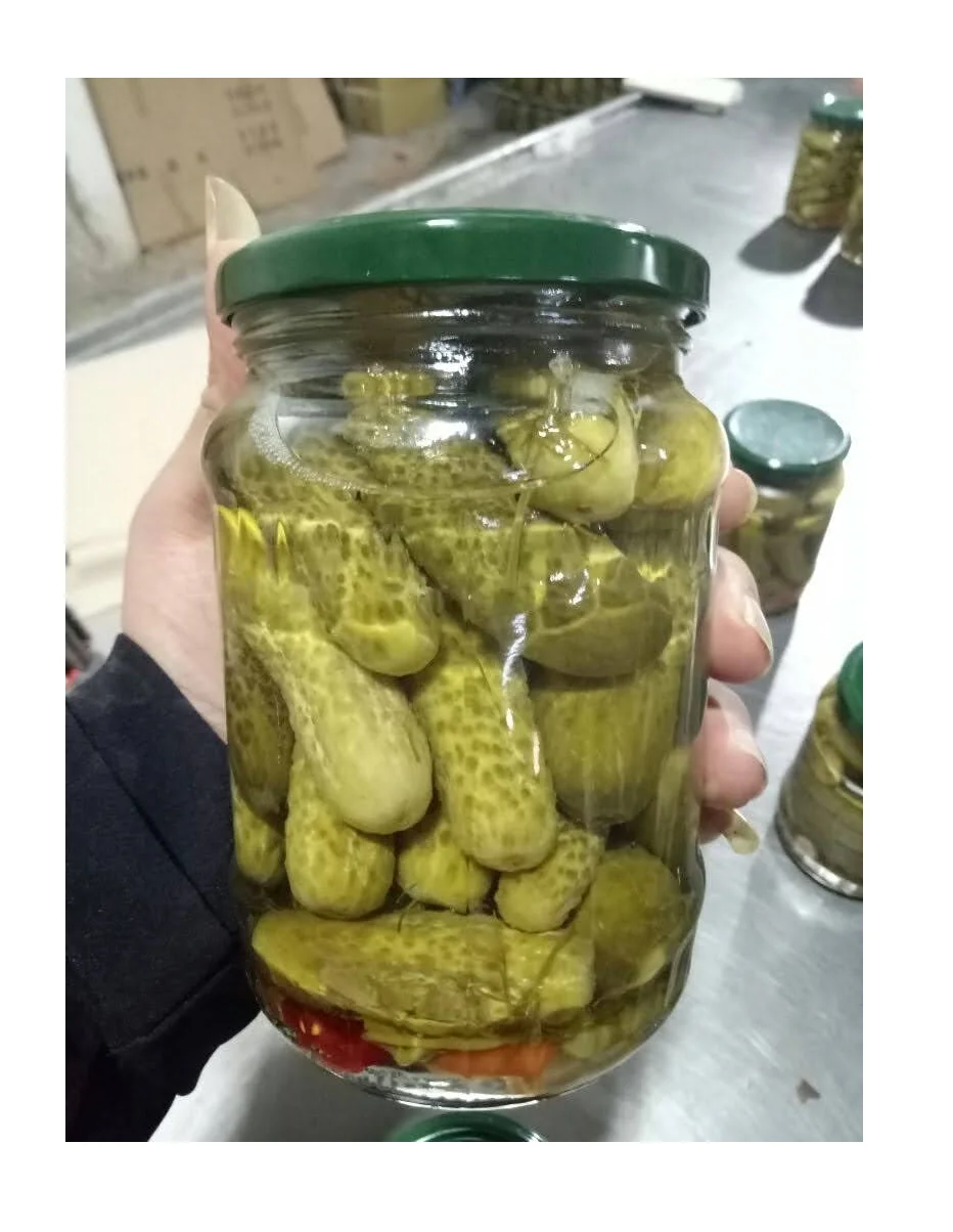 Salted Gherkin Pickles Fresh Cucumber Preserved Vegetable in Vinegar Canned Pickles at Low Price - Ms Caryln 0084935825297