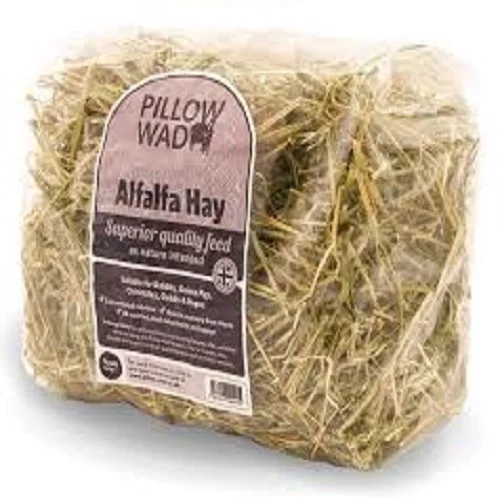 Alfafa Hay for Animal Feeding