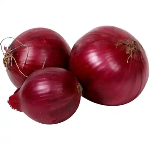Fresh excellent grade vegetable best price red onion Low Price