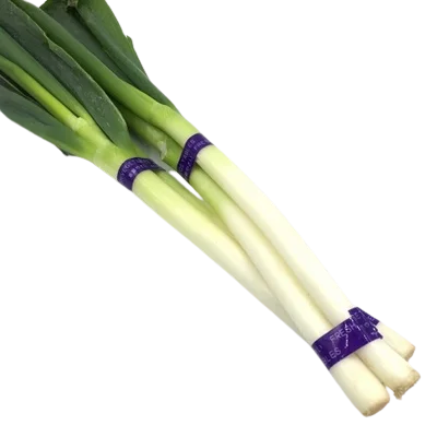 Fresh Vegetables Spring Onion