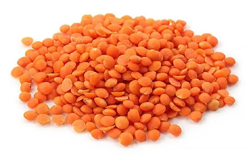 CANADA GREEN AND RED LENTILS