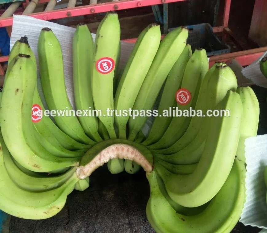 FRESH FRUIT BANANA