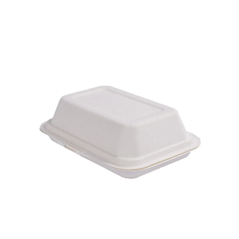 600ml Biodegradable Sugarcane Bagasse Food Container Takeaway Disposable Bento Box