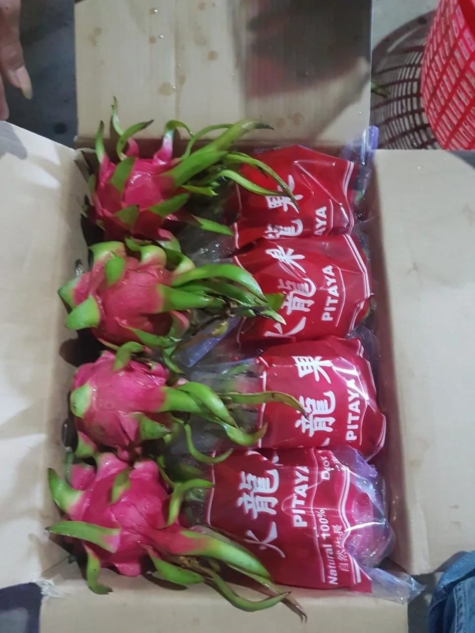 Фрукт дракона из Вьетнама, Лидер продаж // ALLY 0084912438547