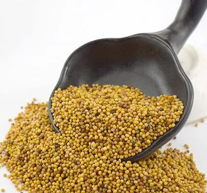 China spices wholesale factory directory sell  high-quality yellow mustard seed with low price
