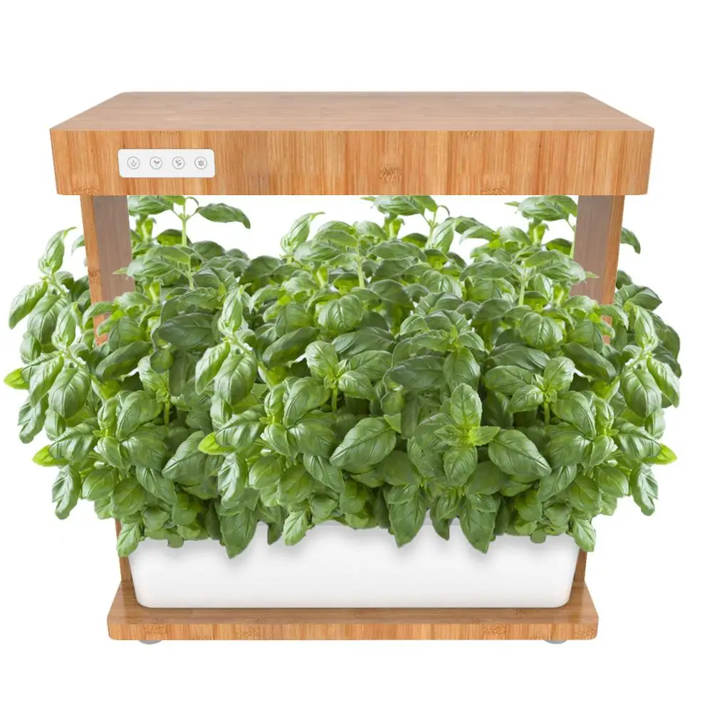 
Hydroponic growing systems indoor succulent garden flower home mini hole plant pot home growing system bamboo automatic watering 