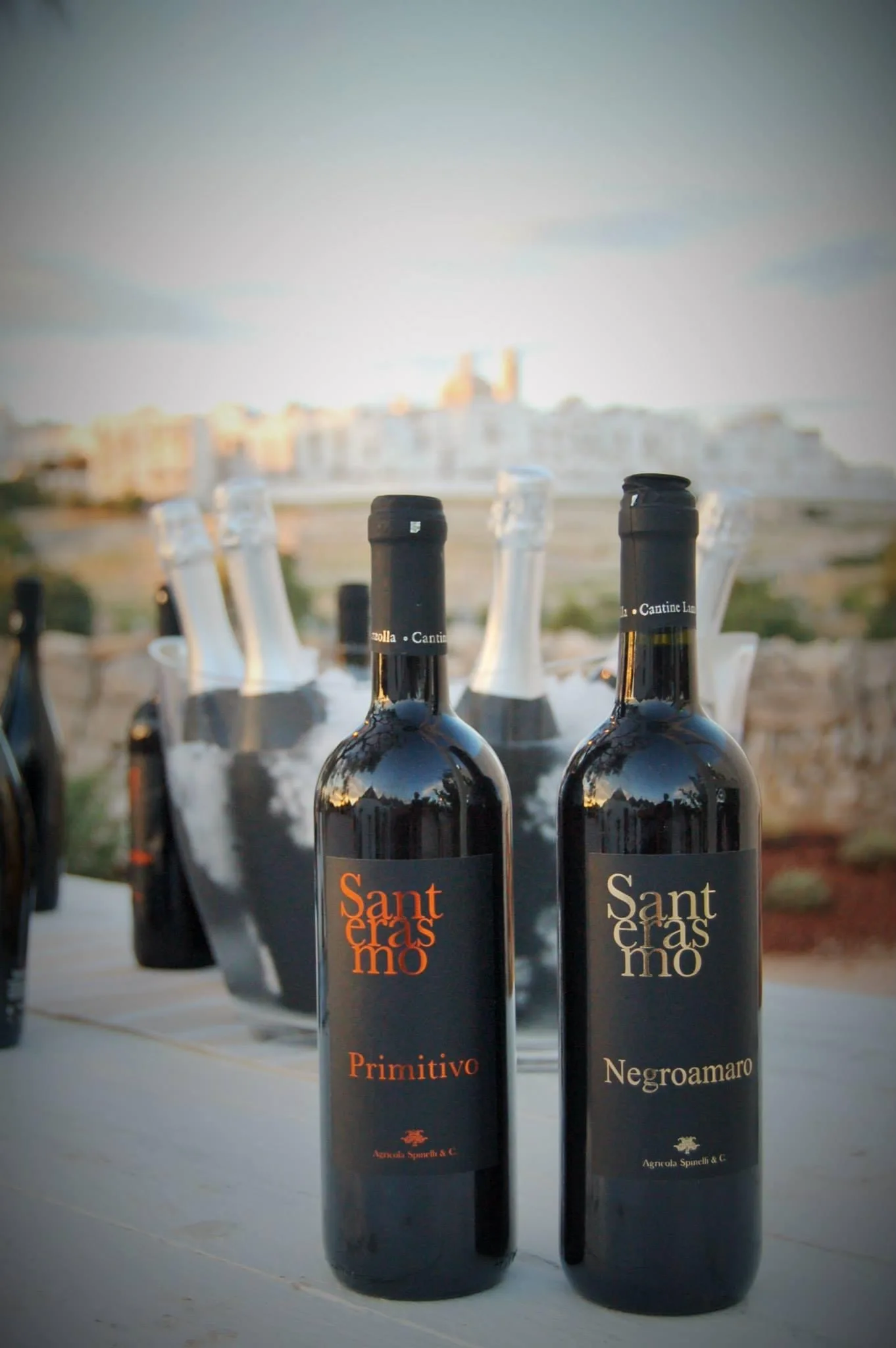 Italian Wine Santerasmo Primitivo IGP Red Wine