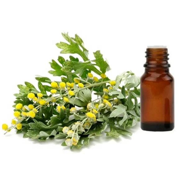 
Hot Product Bulk Price 100% Pure Wormwood Essential Oil 
