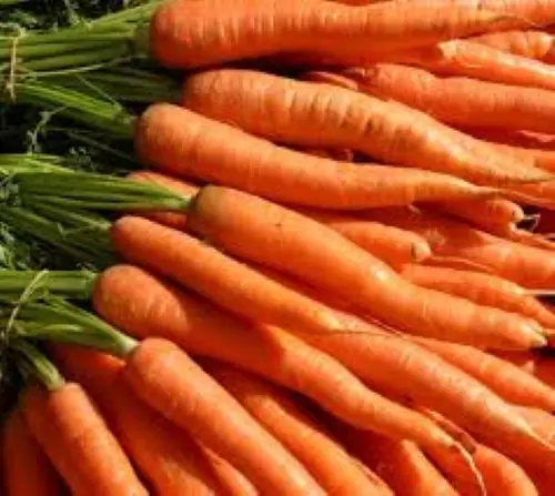 
Long Orange Organic Fresh Carrots 