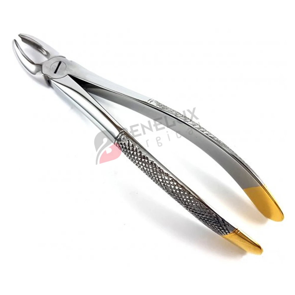 Apical Root Lift 303