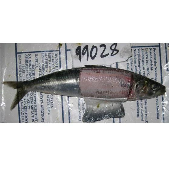 Недорогие замороженные сардины, оптовая продажа из Южной Африки, 50-60 шт./5 кг/коробка