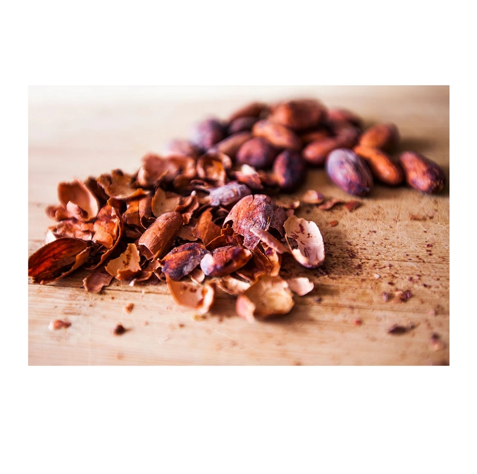 Wholesale Cocoa Beans Shell, Cocoa Pod Husk Harvested In Highland Region Vietnam