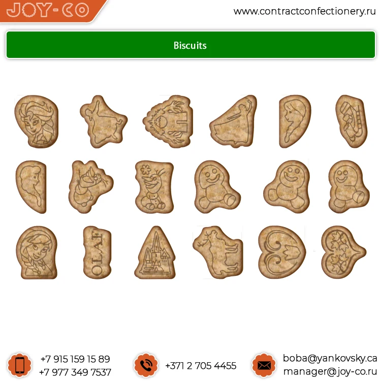 
World Wide Selling Children Favorite Chocolate Flavor Biscuits and Cookies 