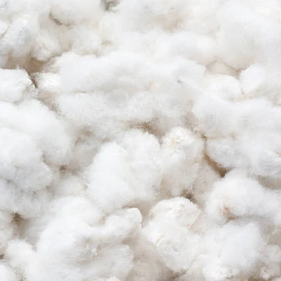 Cotton in Bulks/ Organic Raw Cotton for sale