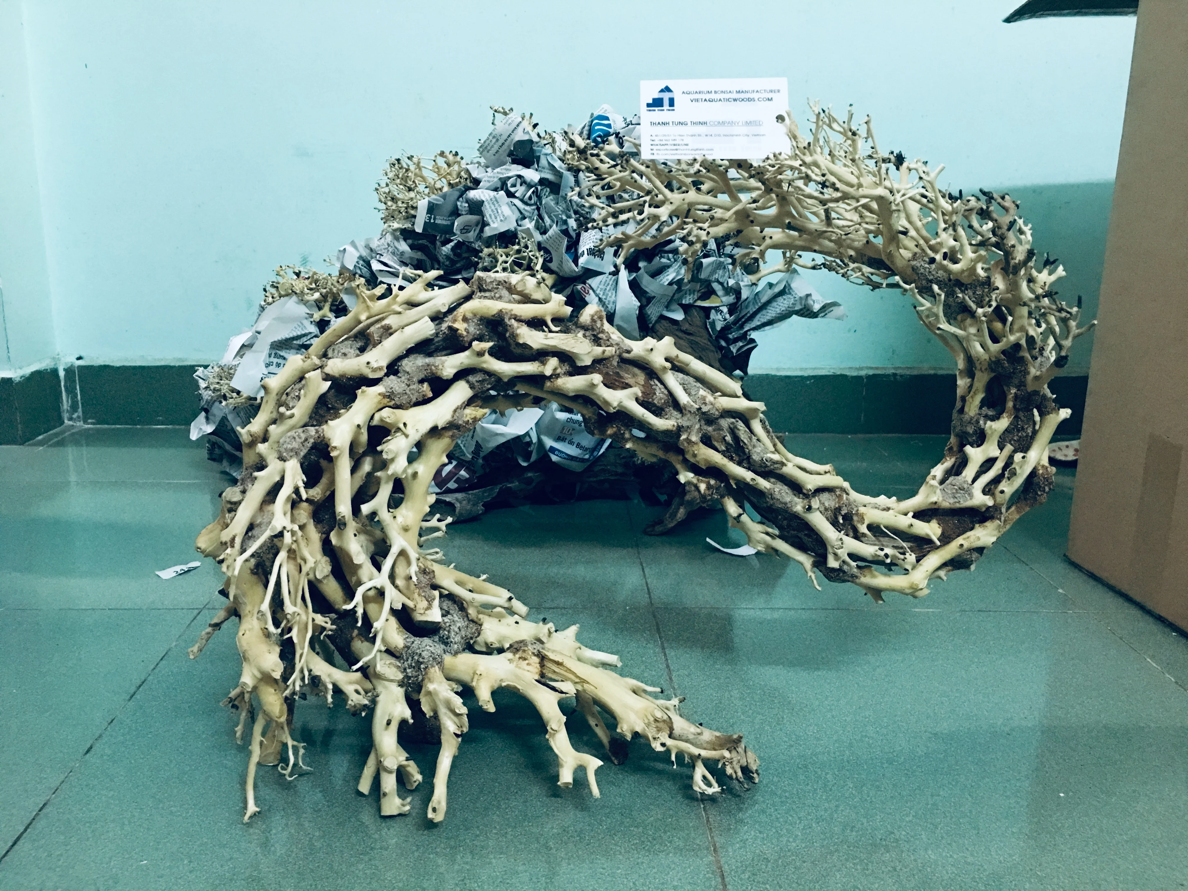 2024 Hot Design Dragon-shaped Large aquarium bonsai driftwood aquarium live plants WhatsApp +84 961005832