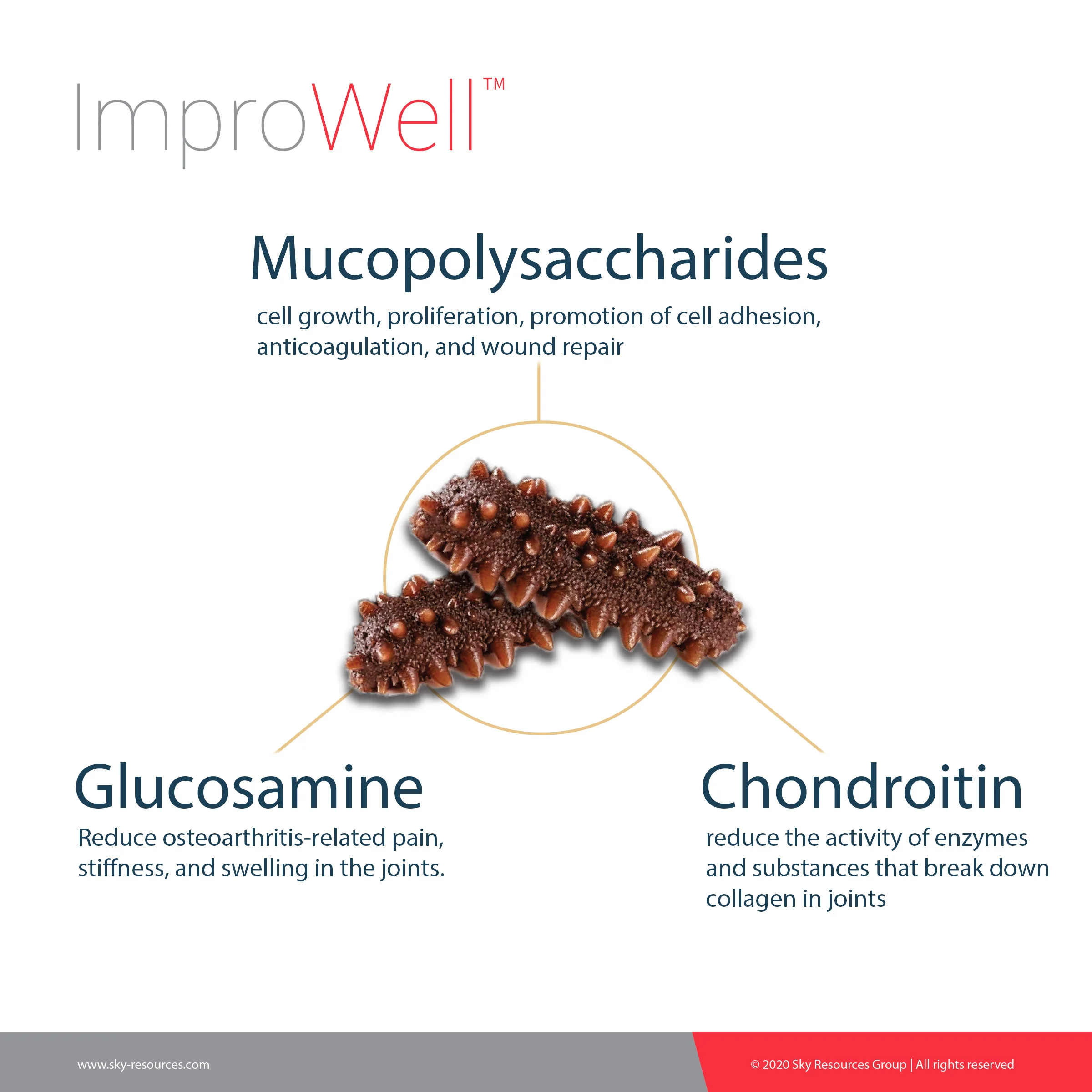 Premium prevent arthritis build collagen Joint supplement with glucosamine & chondroitin for knee pain GMP ISO certified supply