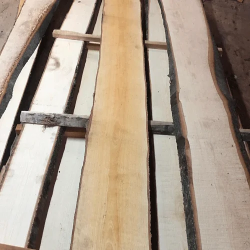 Березовые круглые бревна (березовый пендула)