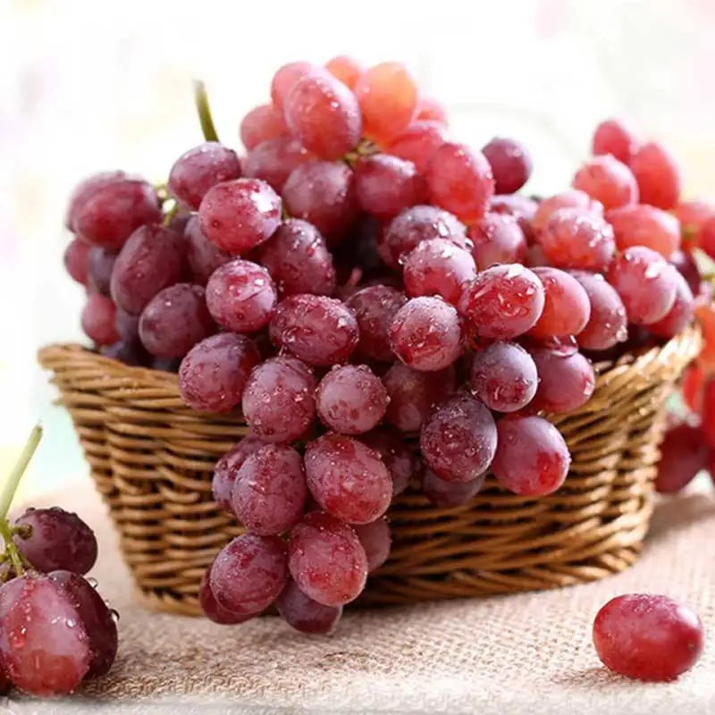 Export red globe superior seedless fresh grapes