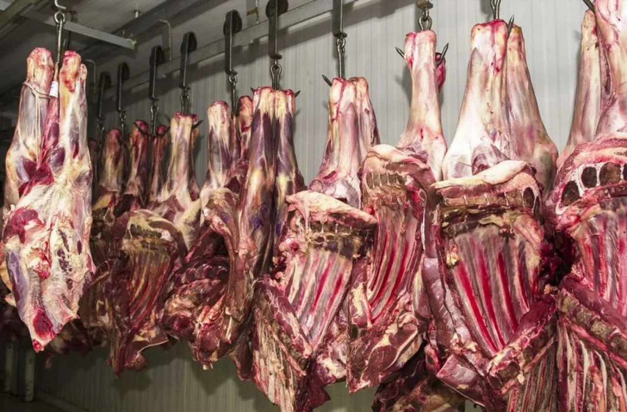 Оптовая продажа говядина замороженная хвостовик мясо без костей кубический рулон фиалка (Bullwhip) страурин патрон Халяль