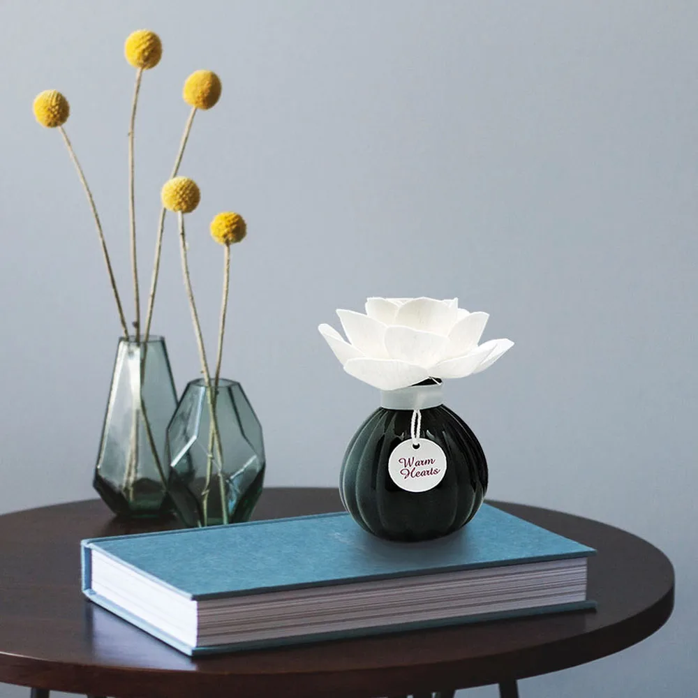 
Luxury Sola Flower Diffuser Black Glossy Glass Bottle Air Fragrance Long Lasting Scents 140ml Home Fragrance 