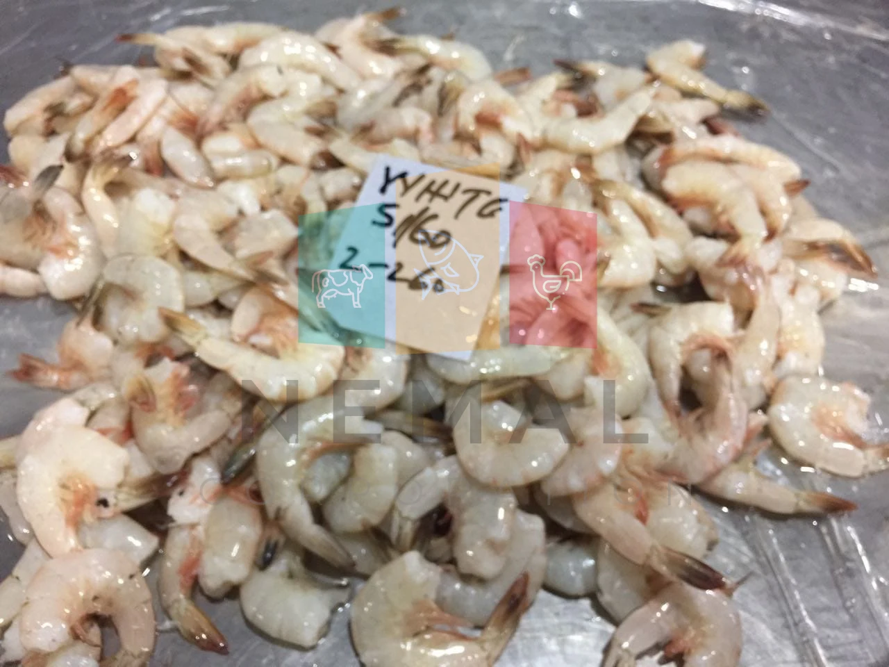 
Frozen White Shrimps Available 