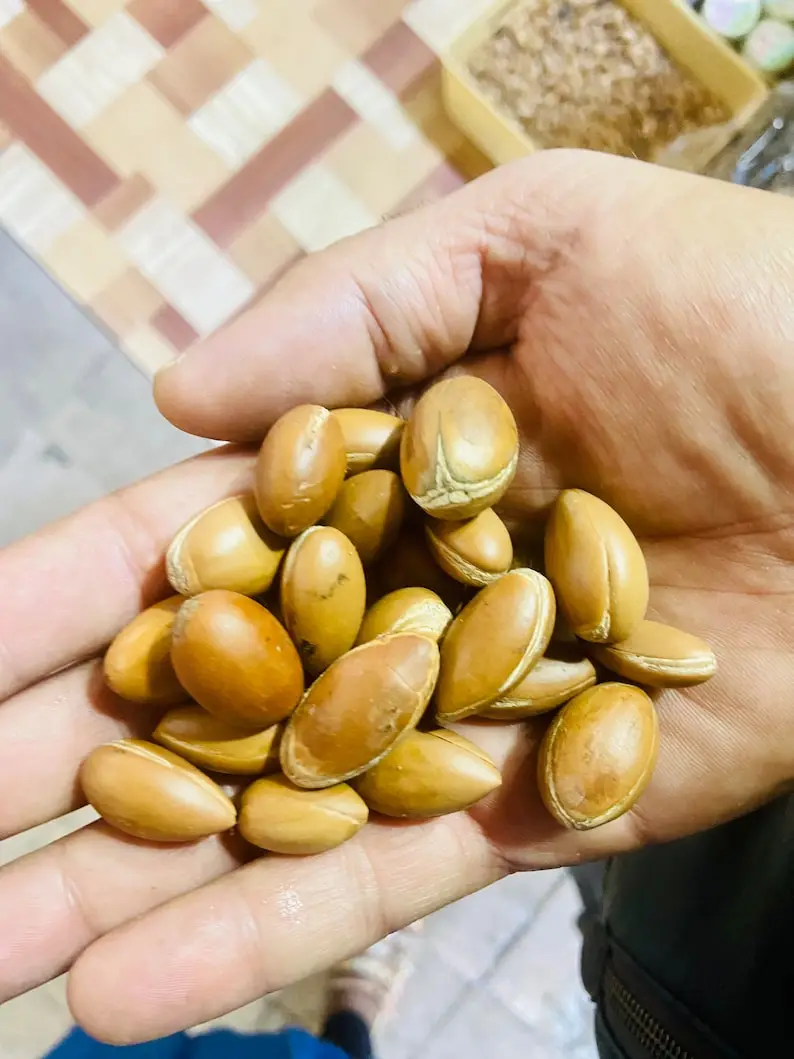 Органическое марокканское аргановое масло USDA сертифицированное 100% чистое холодное прессование увлажняющее средство премиум класса для Dr