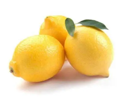 FRESH LEMON FROM TURKEY WHOLESALE CHEAP PRICE !!! lemon zkittlez orange fresh citrus fruit