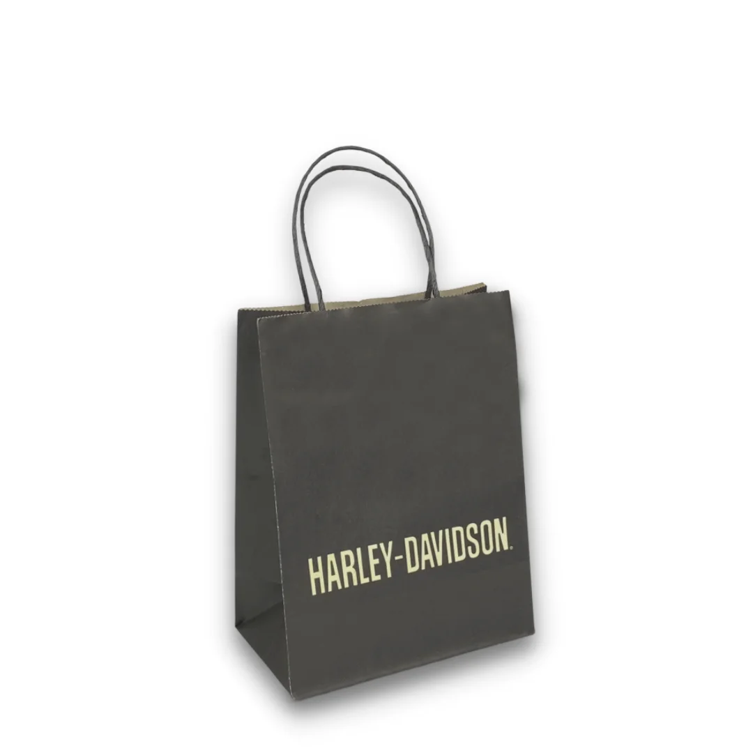 Quality Customize Printing Cheap Shopping Paper Bag