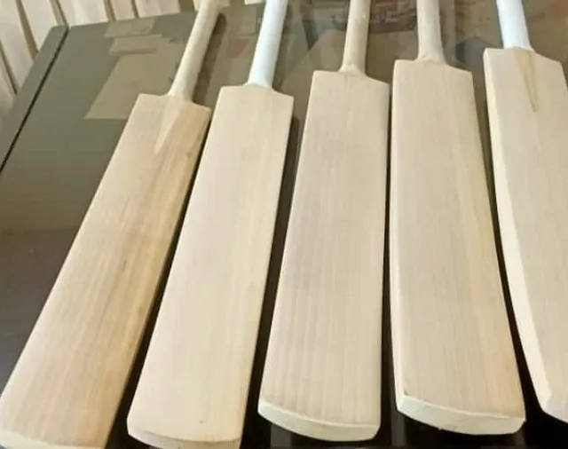 High Quality New Design Professional English Willow Made Exclusive Cricket Bat for Cricket Lovers Sports Item at Wholesale Price