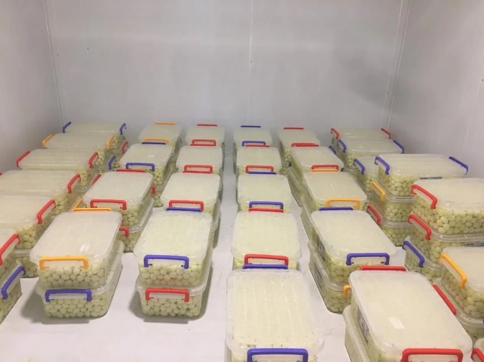
Competitive price boiled quail egg frozen - best egg food frozen/ Holiday 84 845639639 