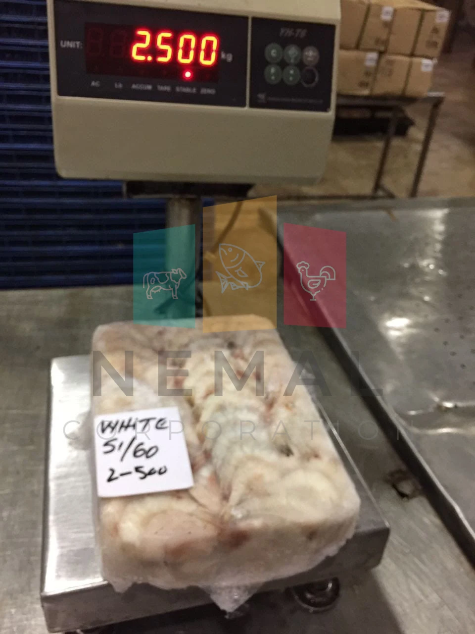 
Frozen White Shrimps Available 