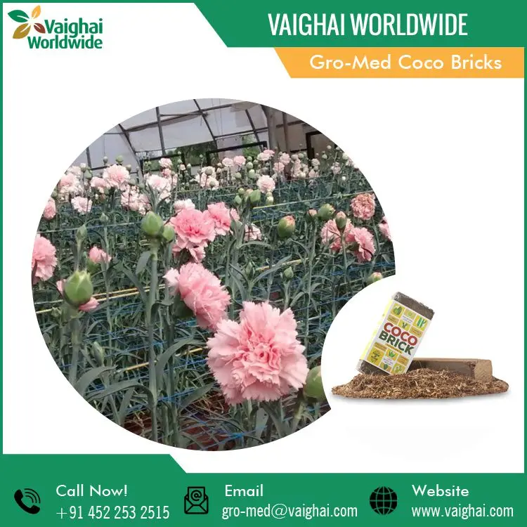 100% Natural Eco Friendly Bulk Coco Bricks Coir Peat from Reputed Seller