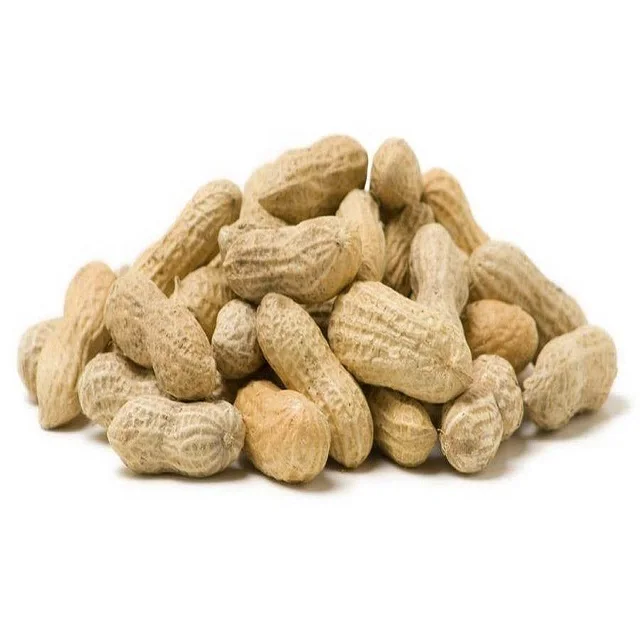 New Crop Good Quality Raw / Blanched Peanuts / Groundnuts for Sale
