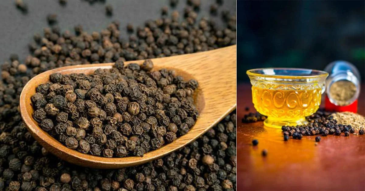 Vietnam Black Pepper Black Peppercorn Food Spices