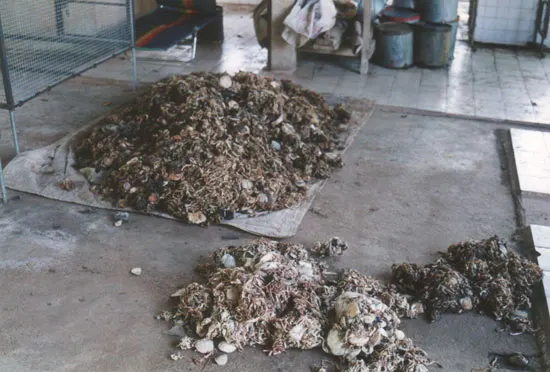 Прямая поставка с завода высококачественный сырье из натурального каучука и латекса