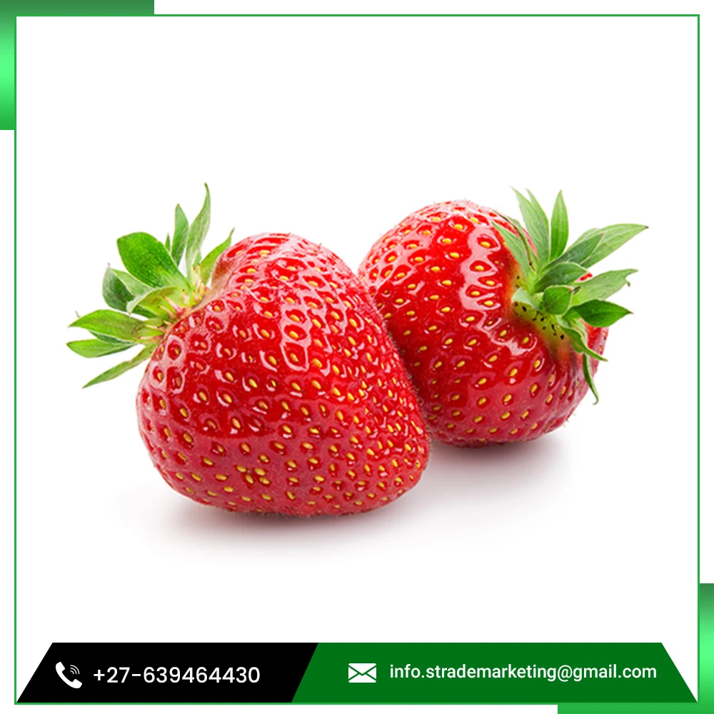 
Highly Vitamin Rate Red Strawberry Sourced from Family Farm 