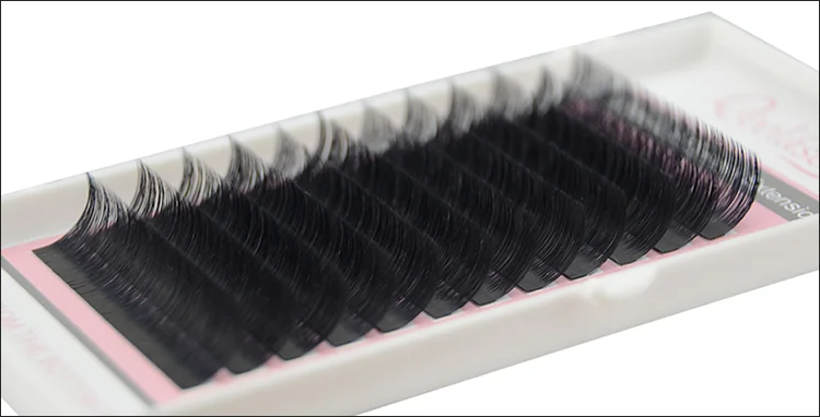 
Professional korea pbt hair volume eye lashes private label eyelash extensions 