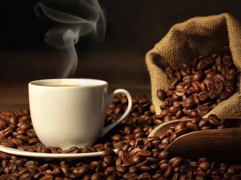 Высококачественный КОФЕ Robusta Средний жареный по лучшей цене Лидер продаж 2021 продукт 100% свежий Лучшая цена