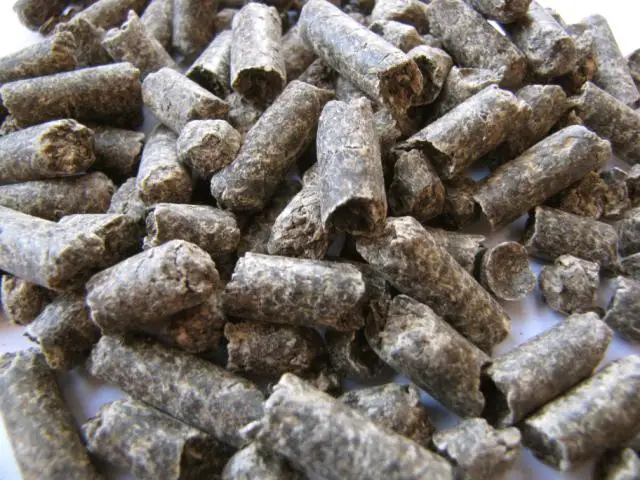 Quality Animal Feed Sugar Beet Pulp Pellets