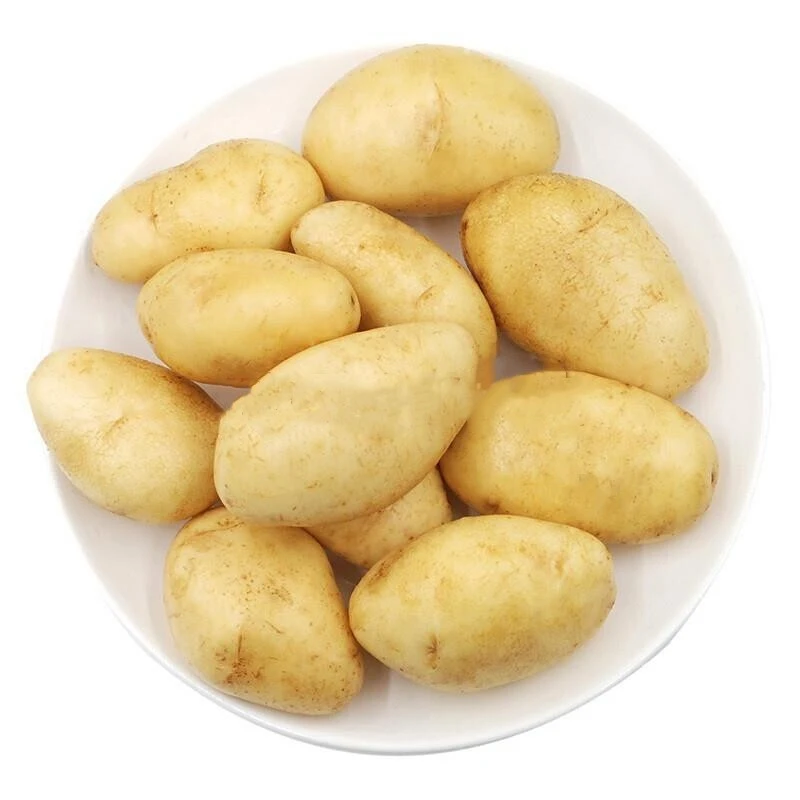 Quality Fresh Ginger , Golden Yellow Potatoes , White Potatoes